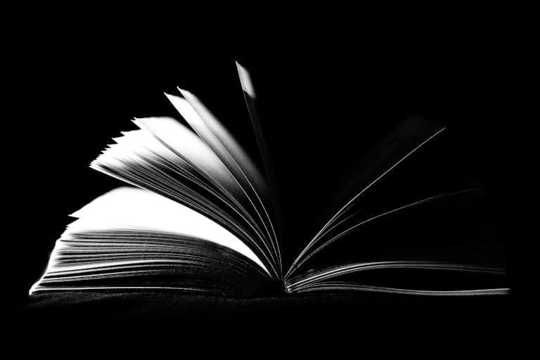 Algebra.learning Nexus.one striking black and white image of an open book with pages fanned out against a dark background.