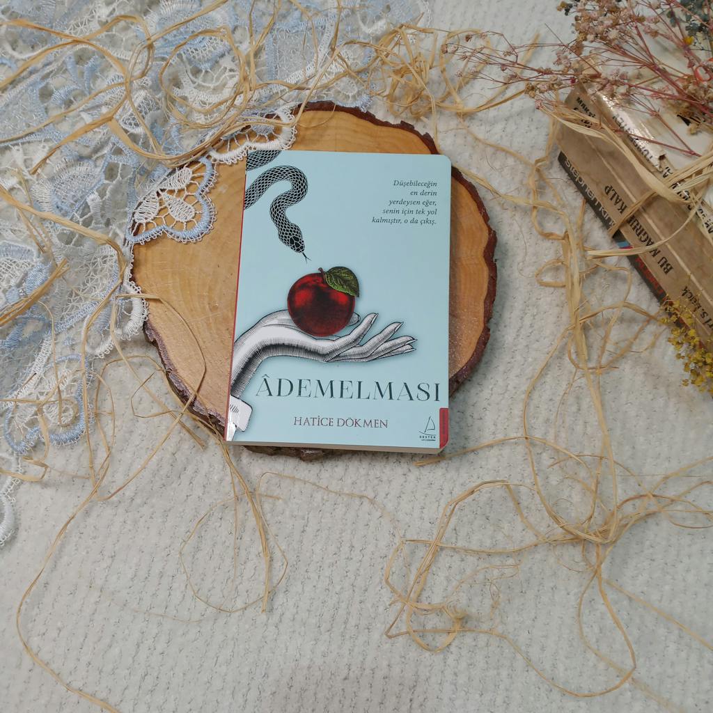 Memorandum to Cabinet A beautifully designed book cover surrounded by rustic decor elements on a wooden and fabric backdrop.