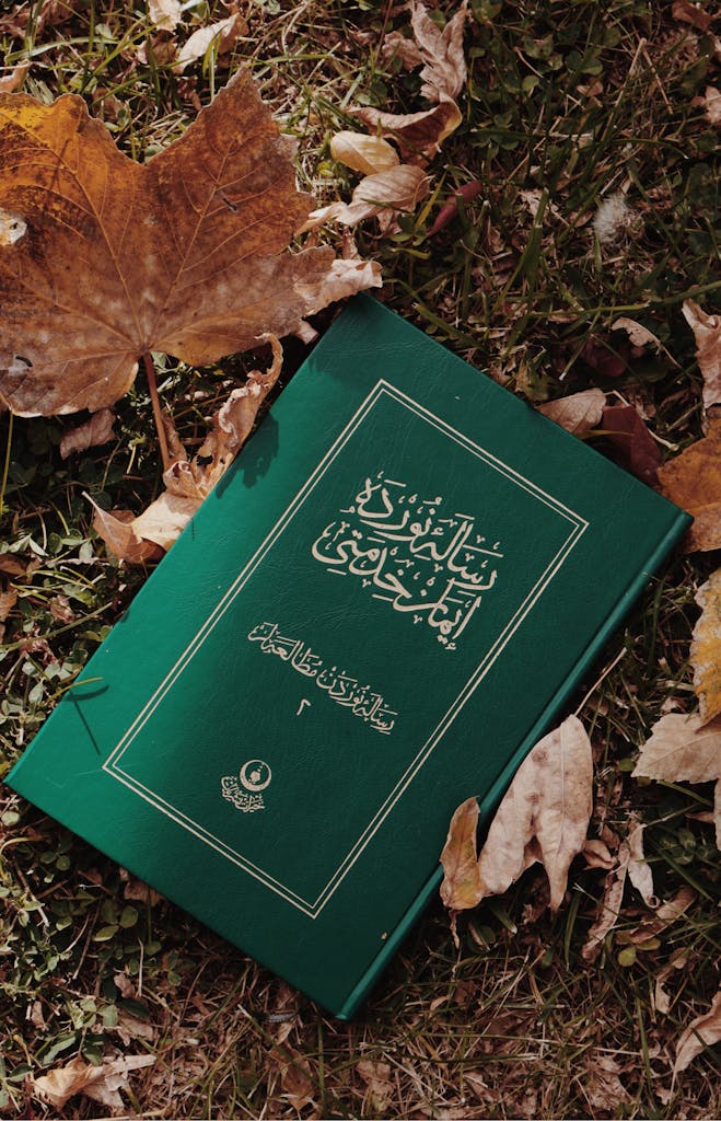 Veb Vatsap Com A green book lies on grass surrounded by autumn leaves, creating a serene and contemplative scene.